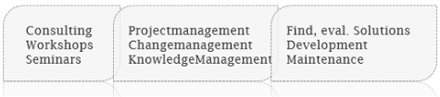 Organisationsberatung, Organisation 2.0